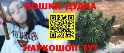 МДПВ Шелехов