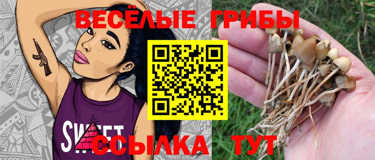 Белебей  Псилоцибиновые грибы MAGIC MUSHROOMS  Вход с VPN 