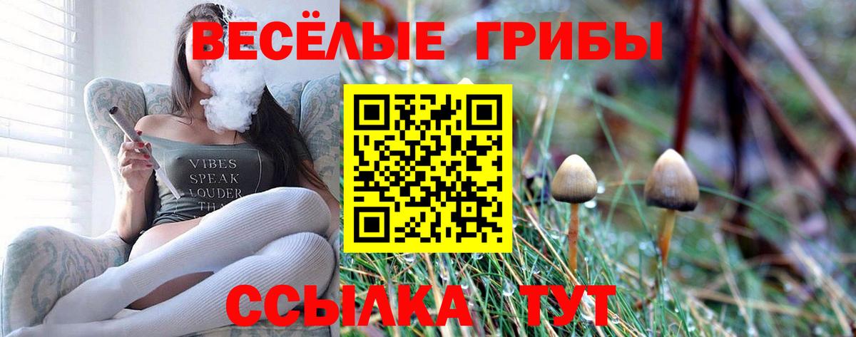 Псилоцибиновые грибы Cubensis Белебей